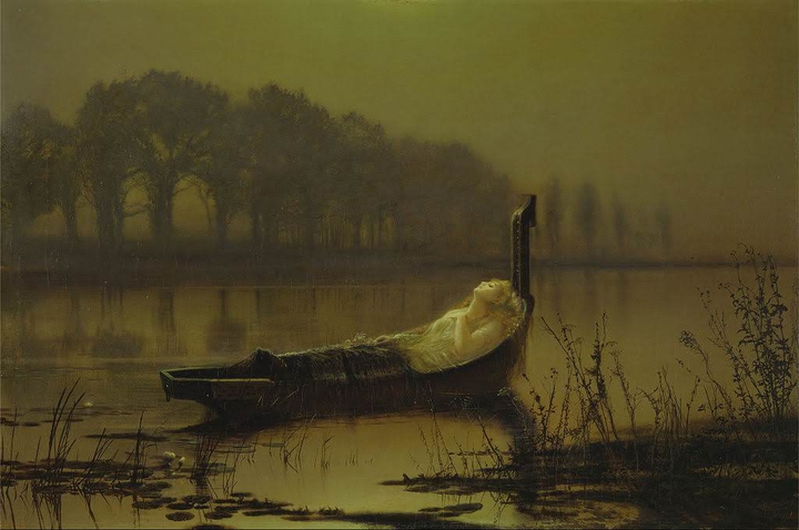 the lady shalott