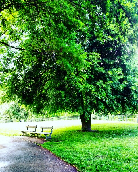 Nature.