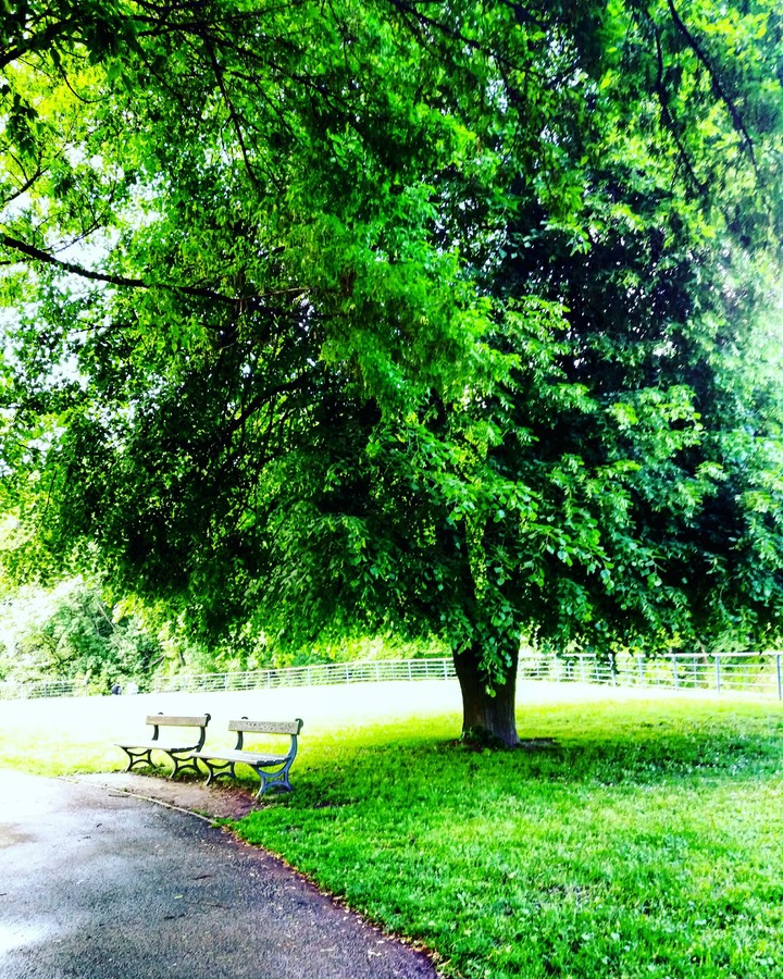 Nature.