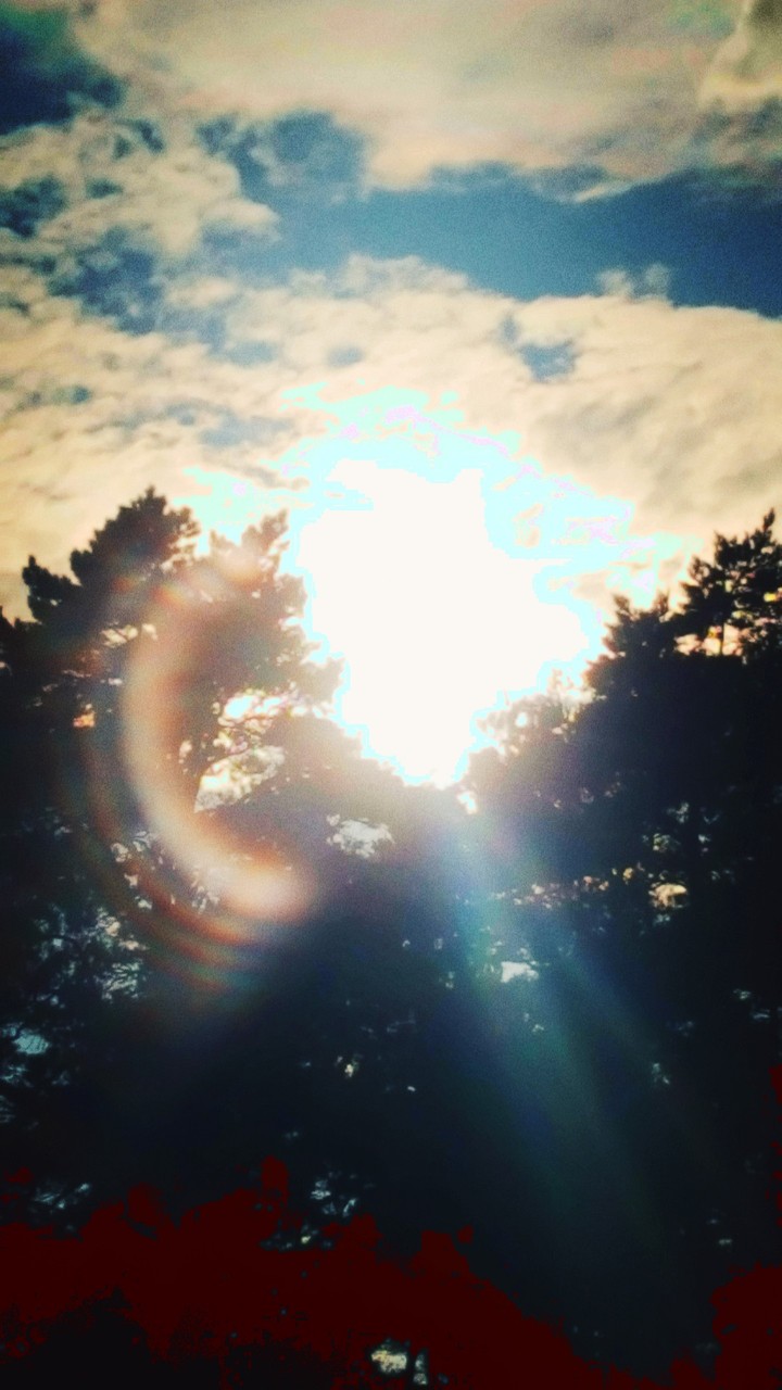 sun sun and sun .hi!