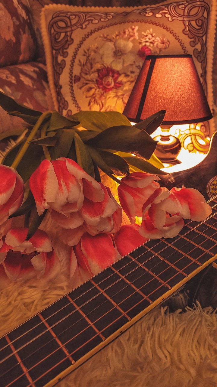 Guitar