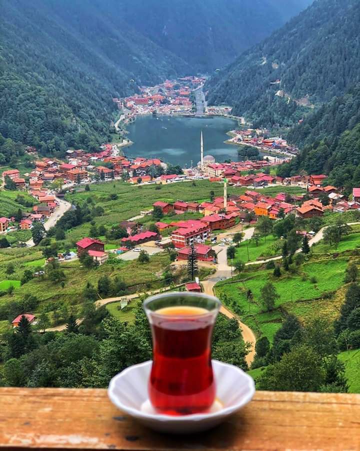 Turkey / Rize