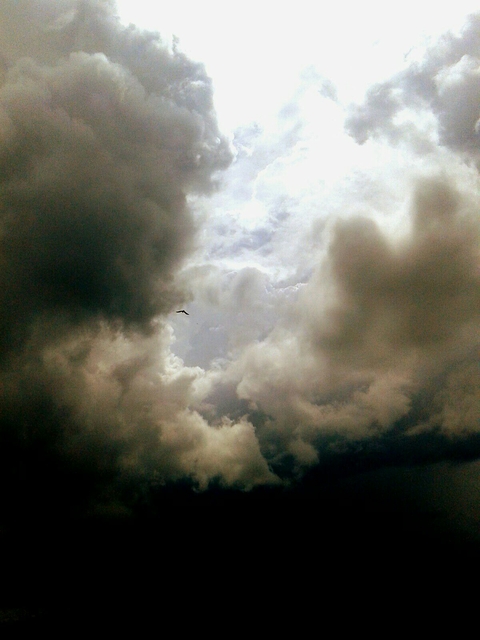 covering light