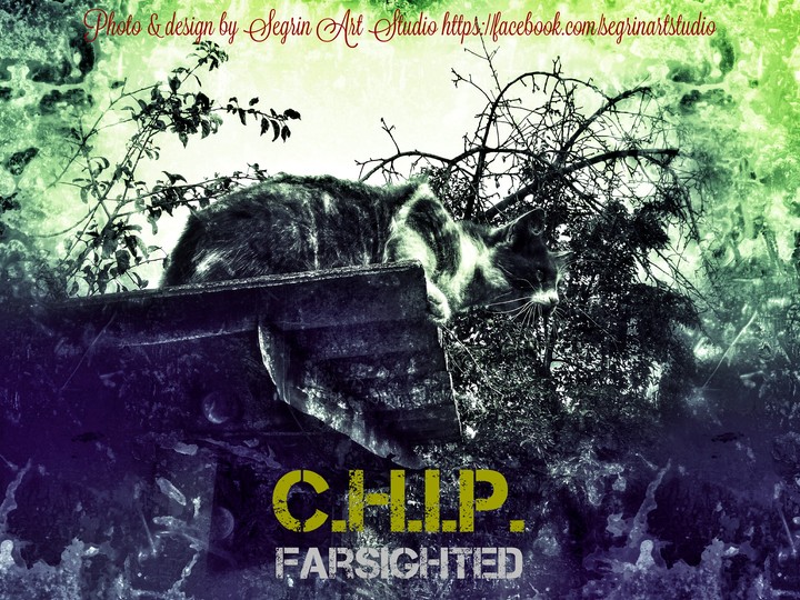 C.H.IP. FARSIGHTED