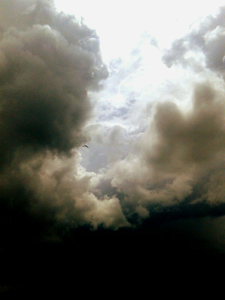 covering light