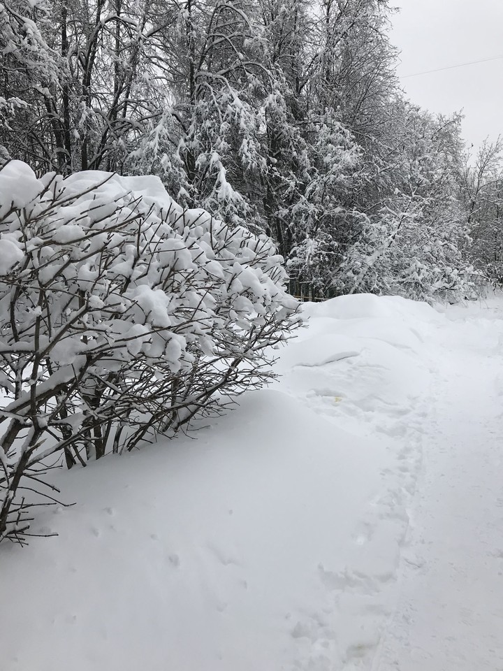 ☃️ЗИМА☃️ЗИМА☃️ЗИМА☃️