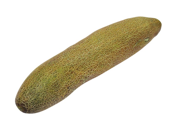 음식이미지
