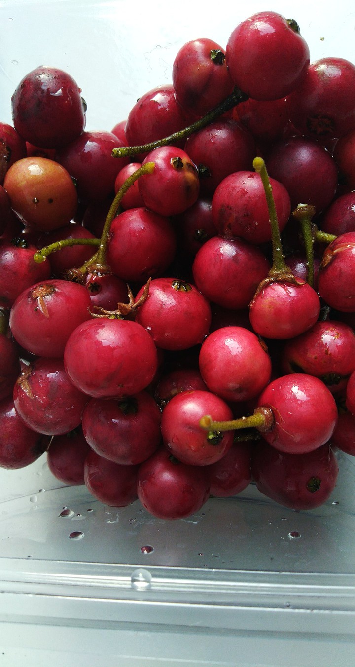 Indonesian Cherry