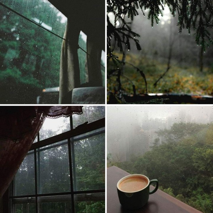 Rainy Day