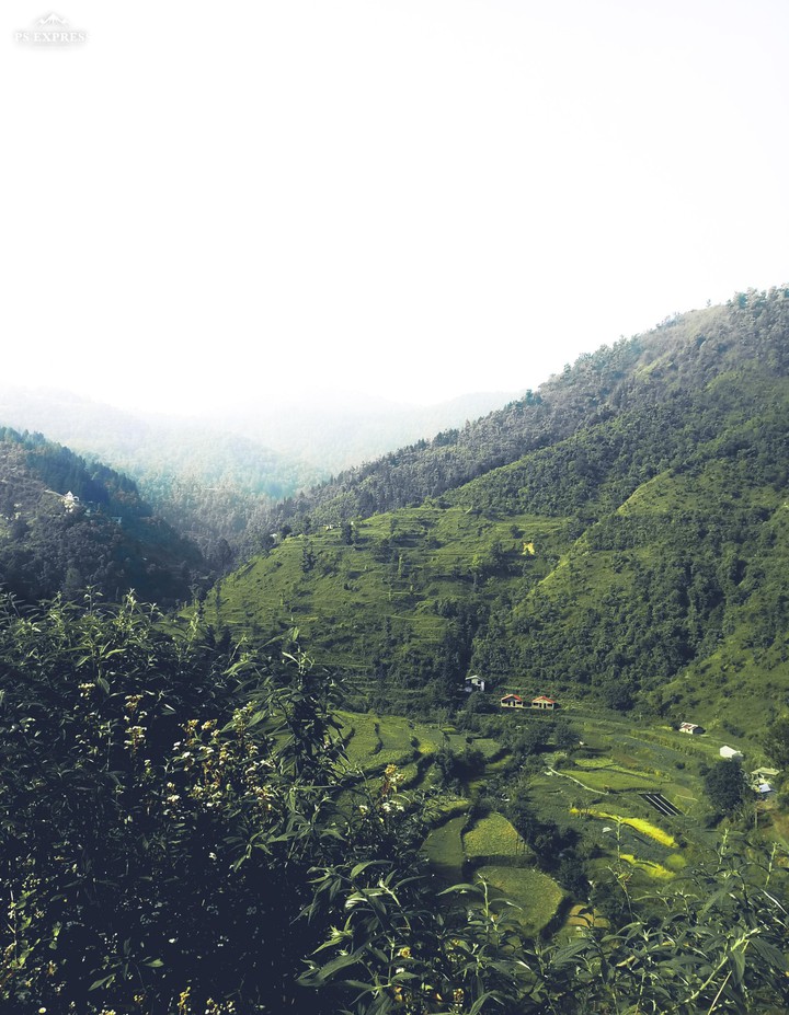 Scenic