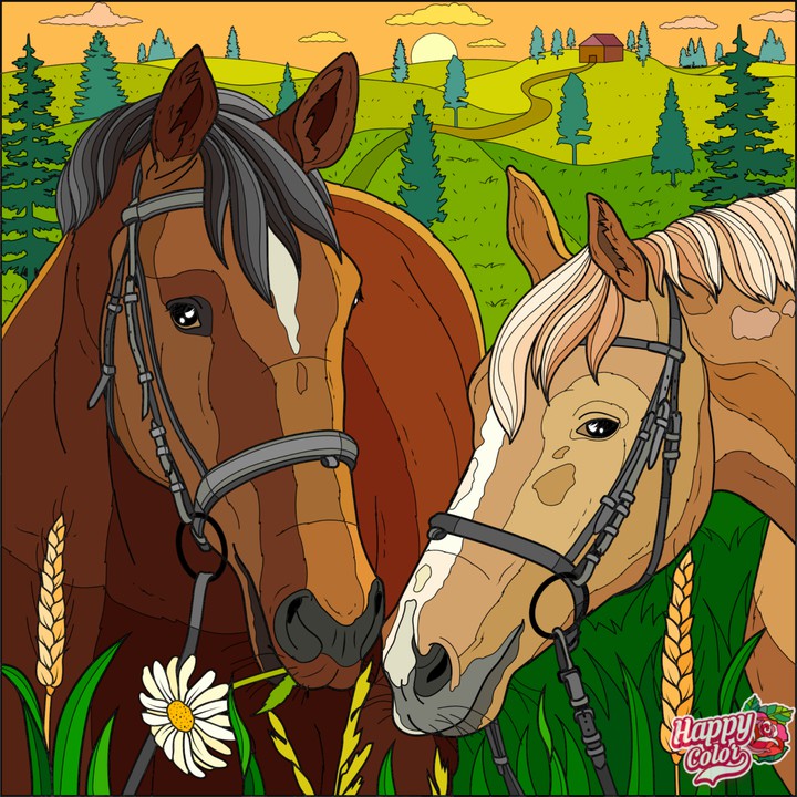 Cavalos