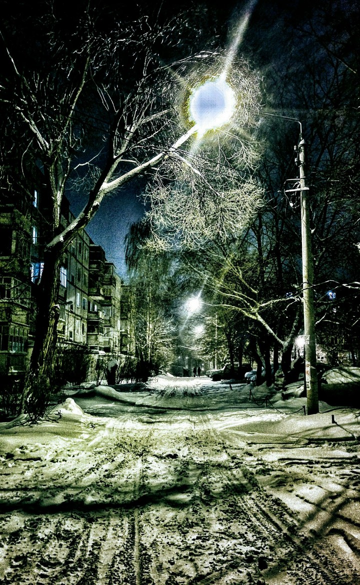 winter