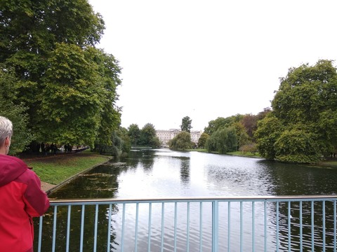 Buckingham palace