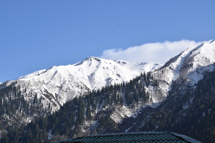 Mountain