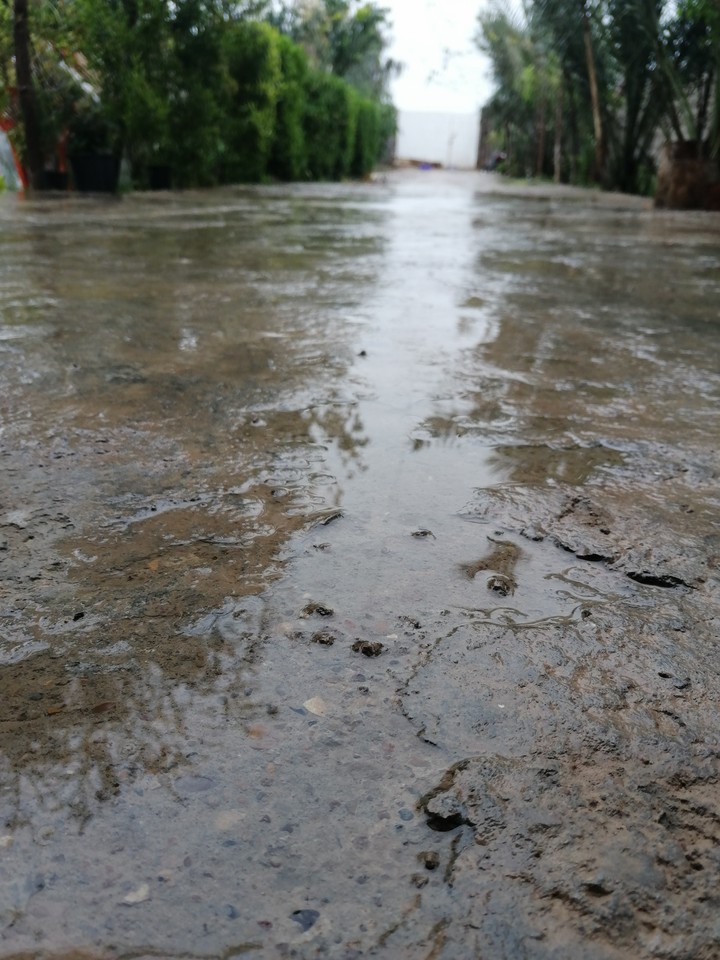 rain