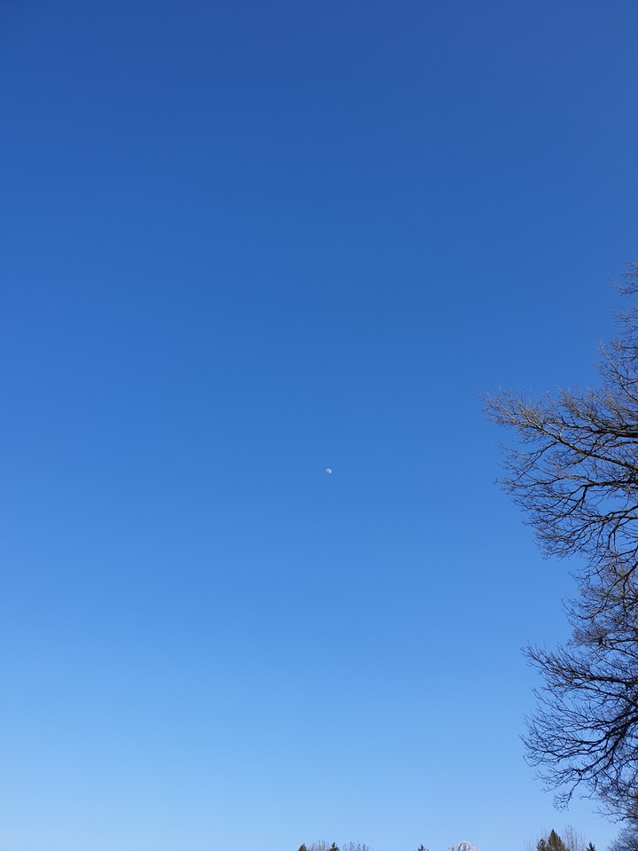ciel