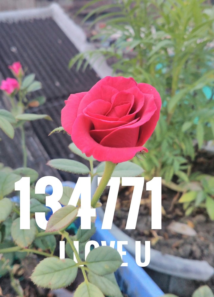 134771