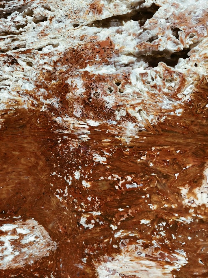 rock from Brazil