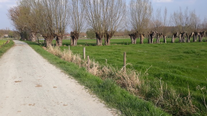 vieuw