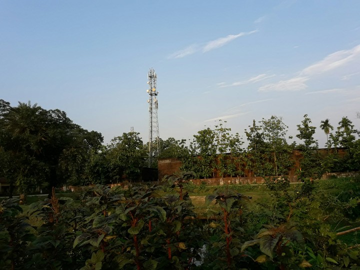 tower of Reliance