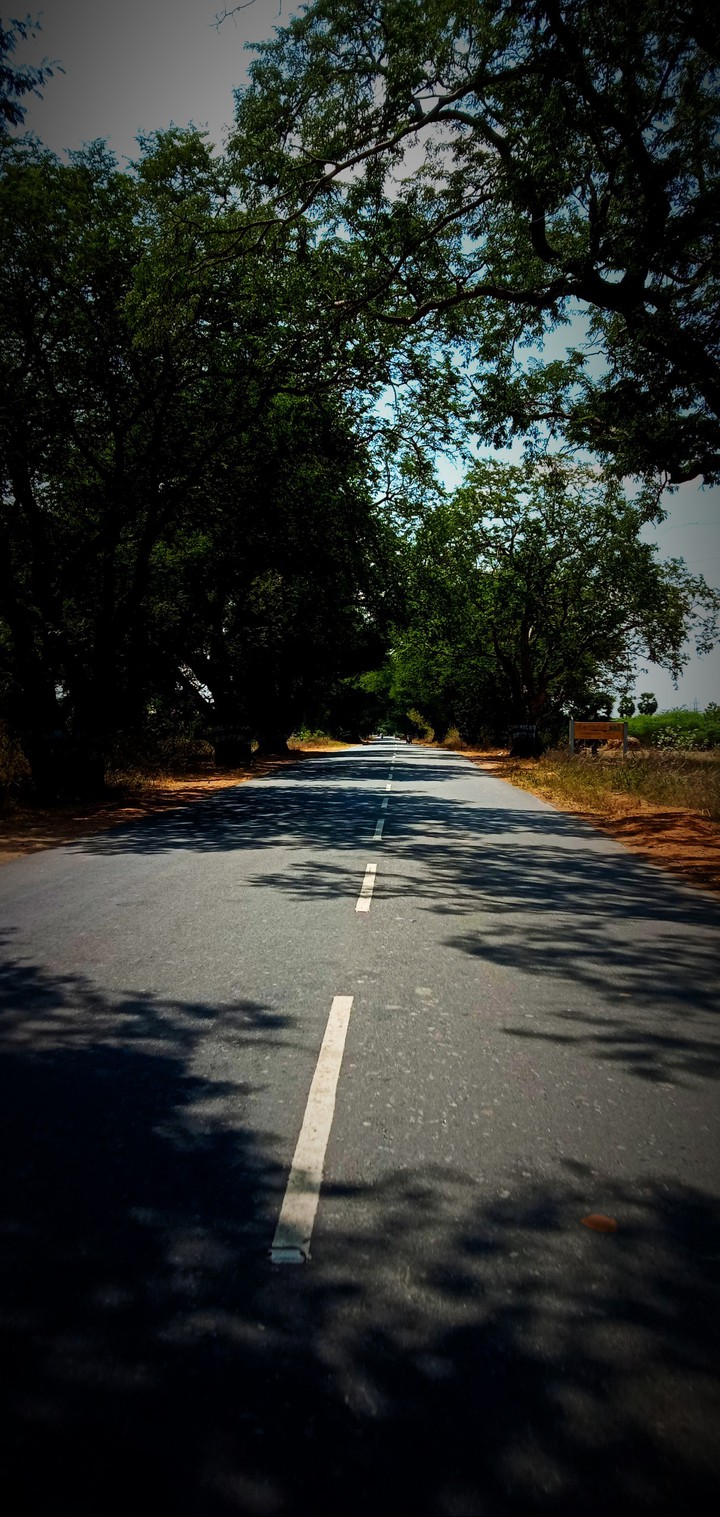 country side