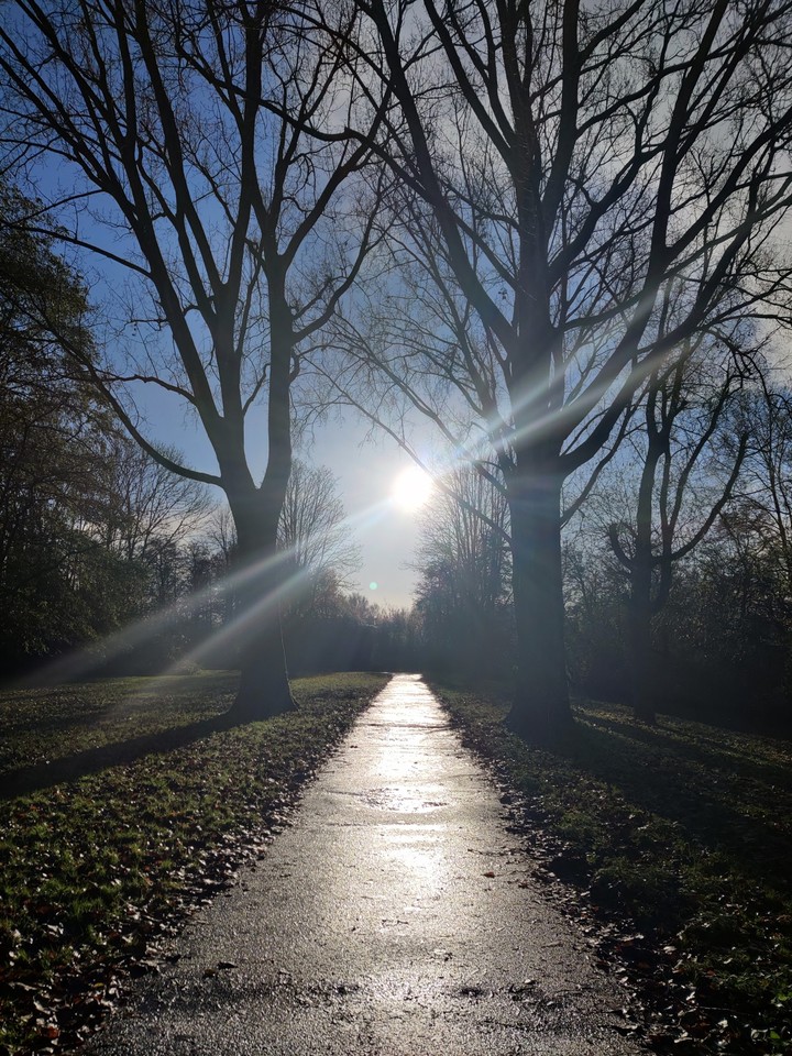 sunny day