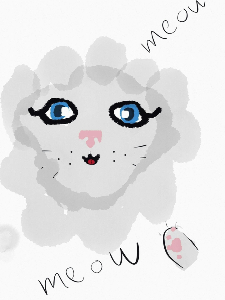 kitty