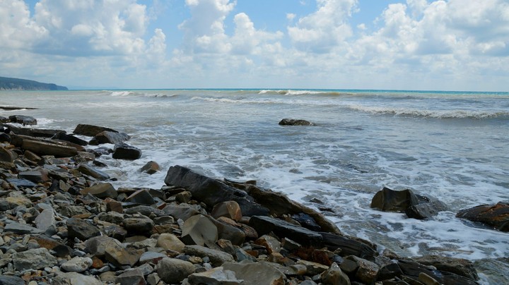 By the sea