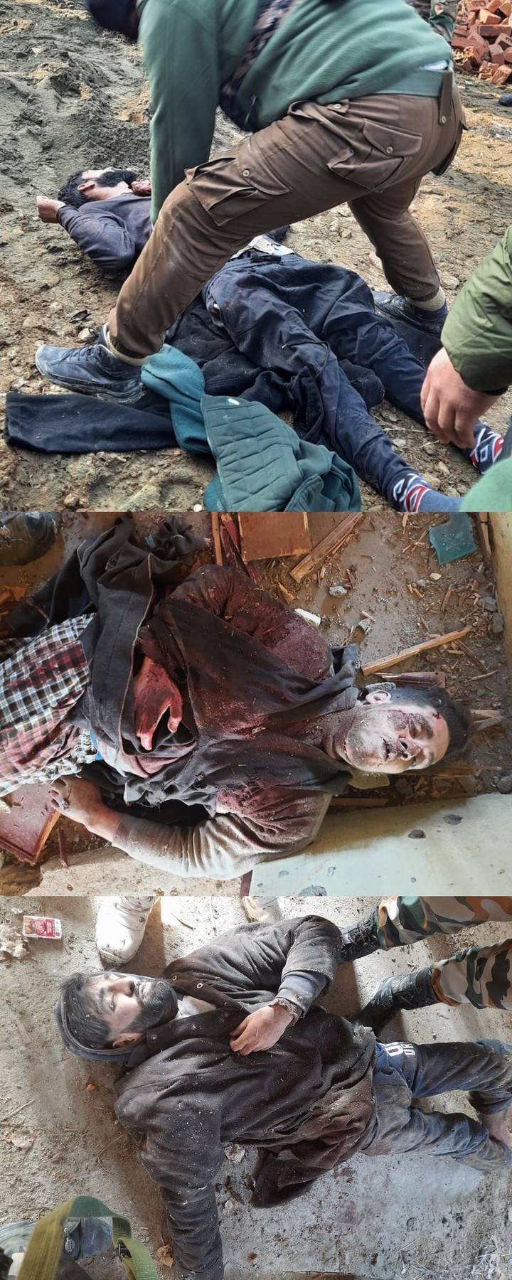 dead terrorist pigs of kashmeer !!