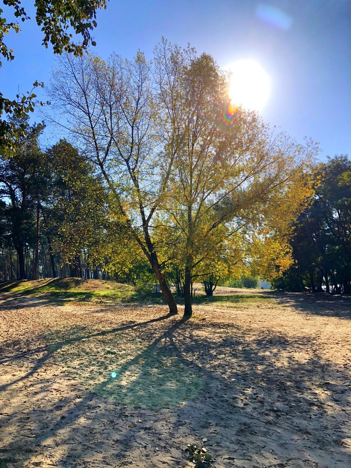 autumn