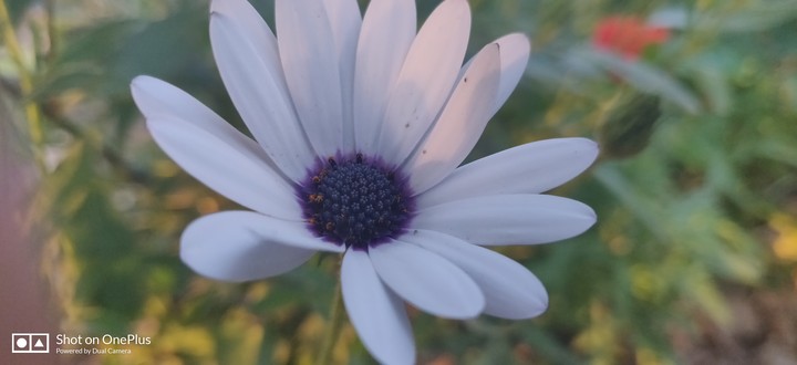 Nature'sWonders