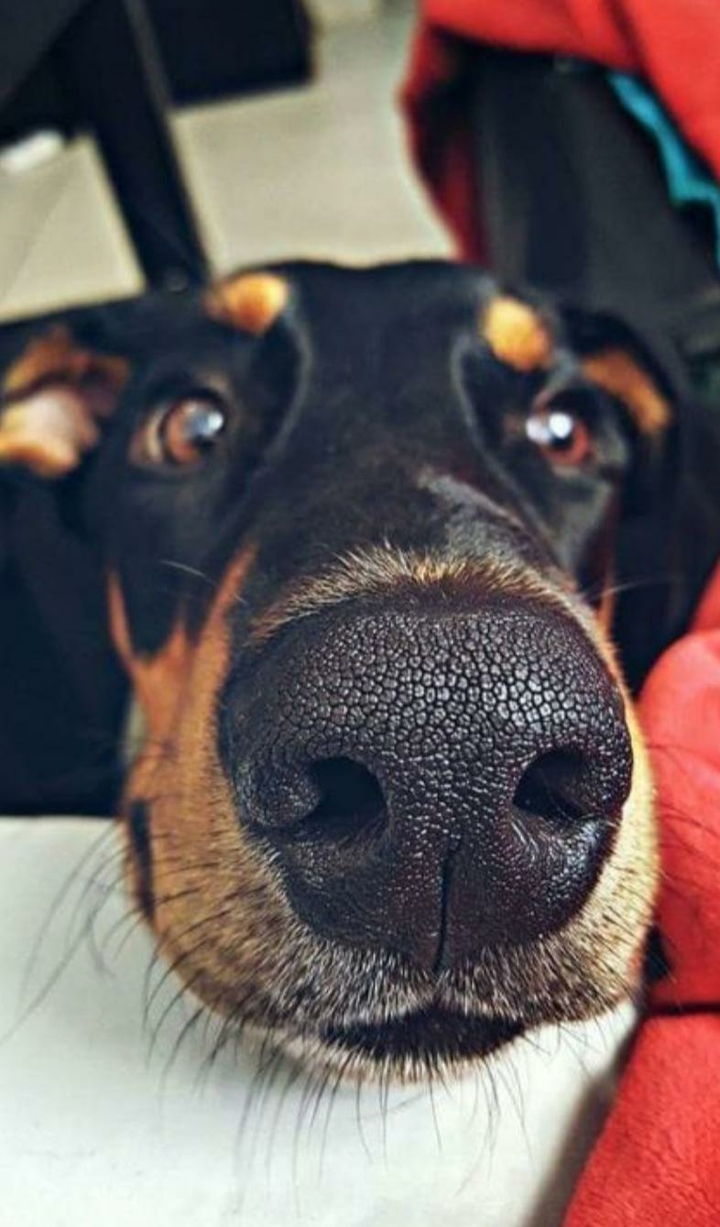 ❤