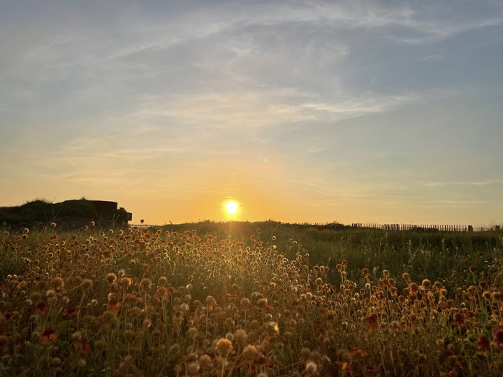 夕景