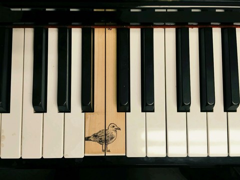 piano