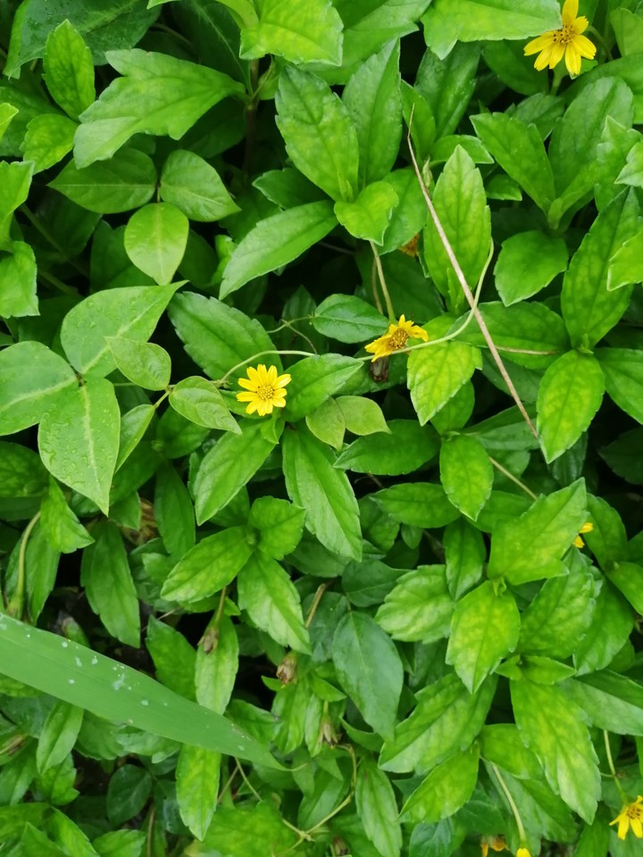 natura 1@