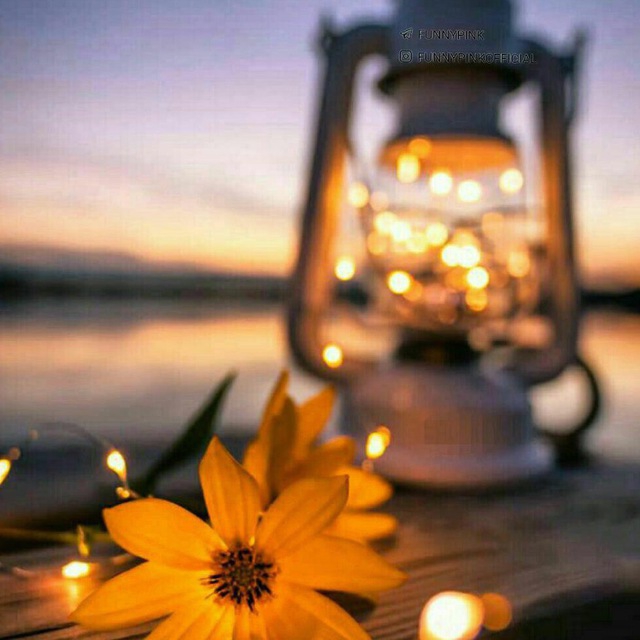 ❤