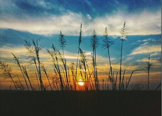 sky
