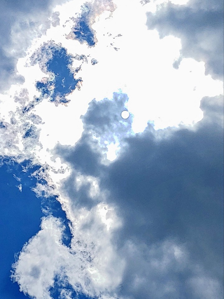 Beautiful Earth Day