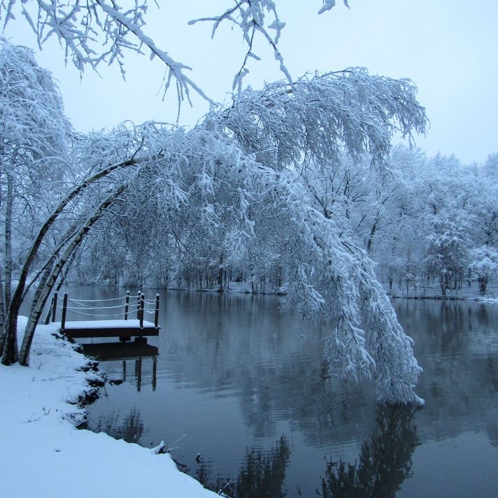 snowfall