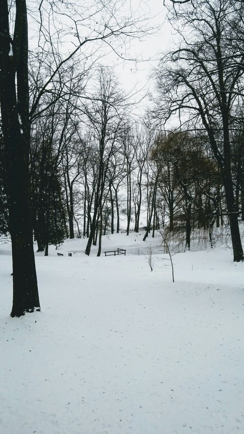 winter is coming