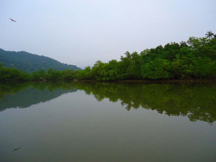 natural view