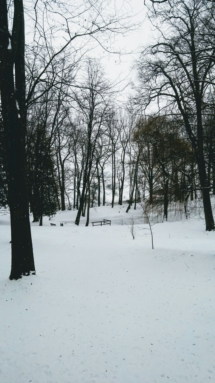winter is coming