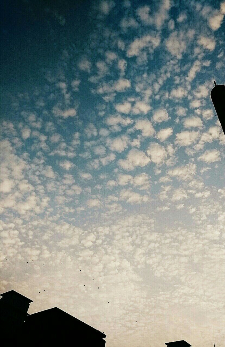 Cotton Clouds