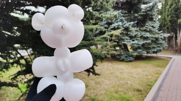 Balloon bear