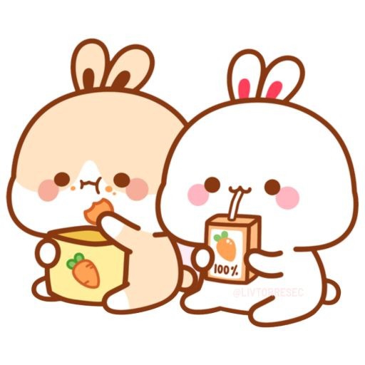 토끼