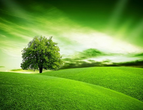 love nature
