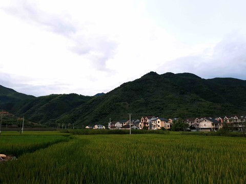 beautiful landscape