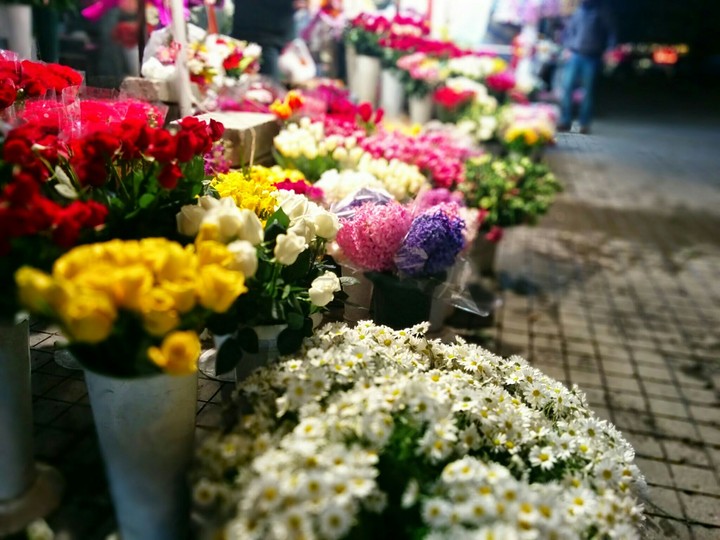 flowers