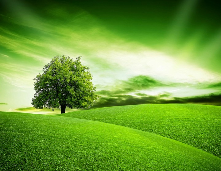 love nature