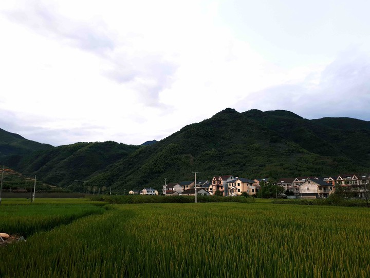 beautiful landscape